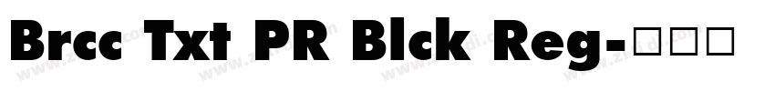 Brcc Txt PR Blck Reg字体转换 Brcc Txt PR Blck Reg字体转换